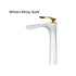 Fausto Sink Faucet