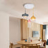 Chelsea Pendant Light